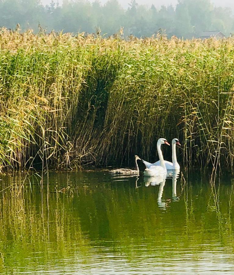 Villa Ekbladh Västanfjärd Dış mekan fotoğraf